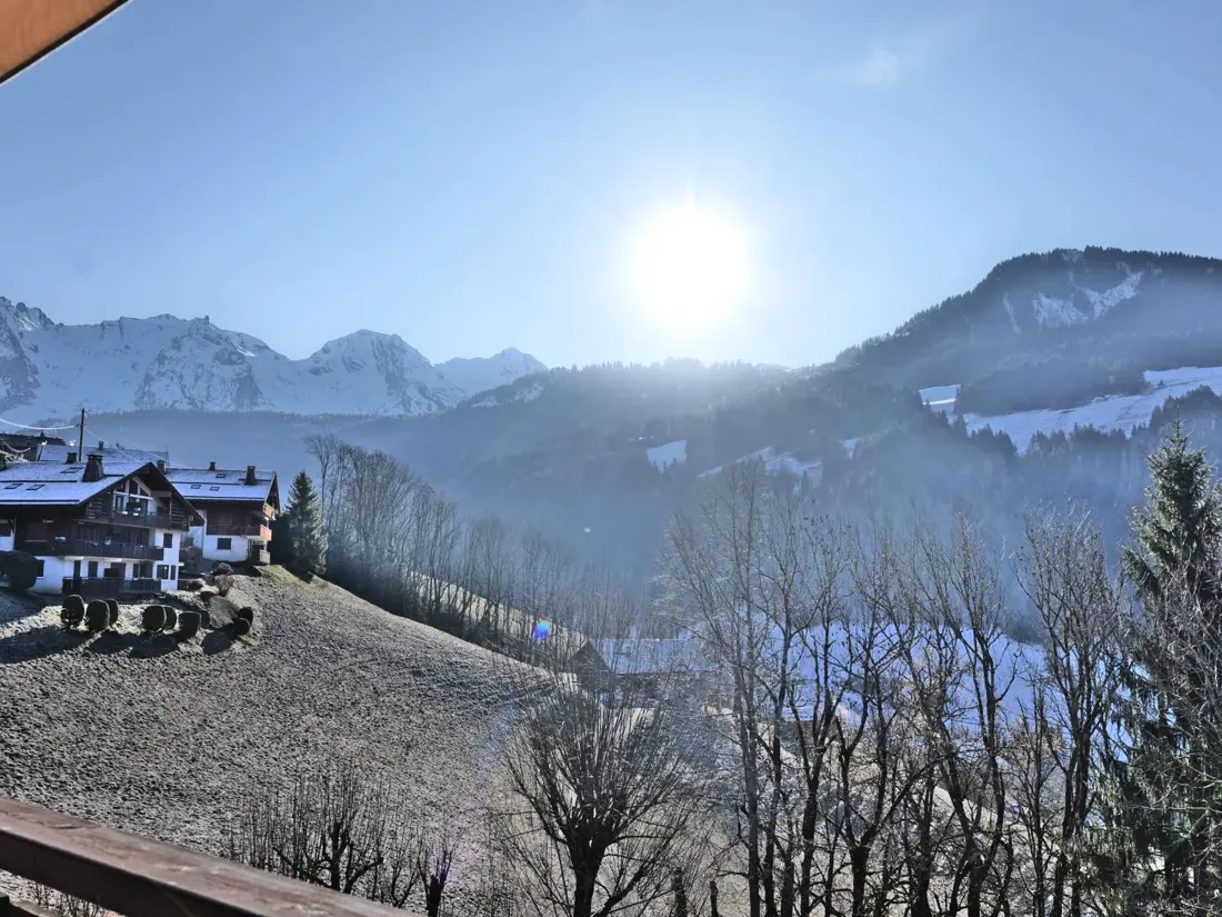 Location de Vacances Le Grand-Bornand 442