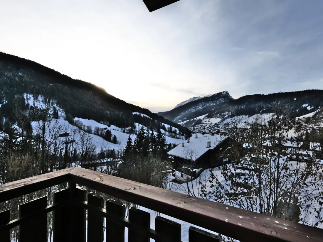 Location de Vacances Le Grand-Bornand 442