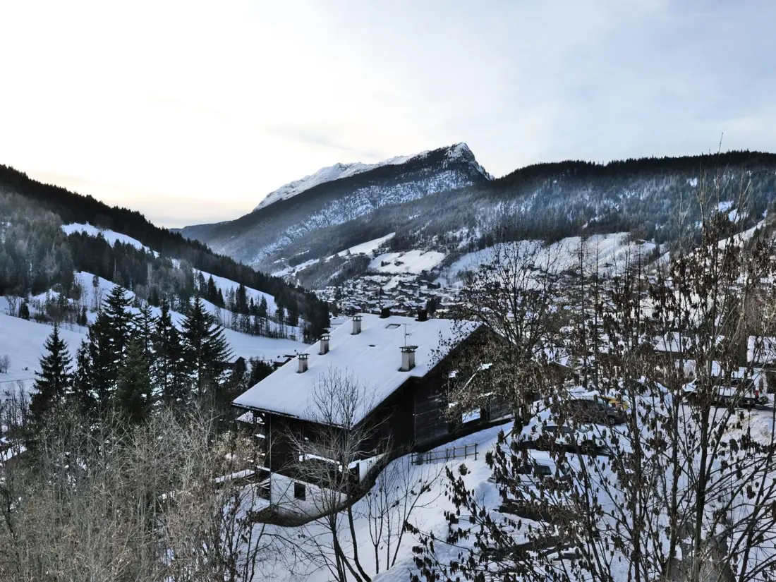 Location de Vacances Le Grand-Bornand 442
