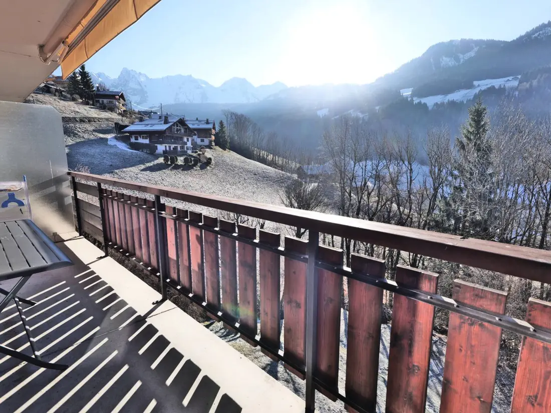 Location de Vacances Le Grand-Bornand 442