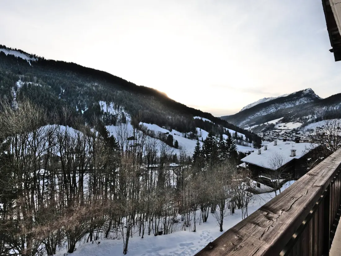 Location de Vacances Le Grand-Bornand 442