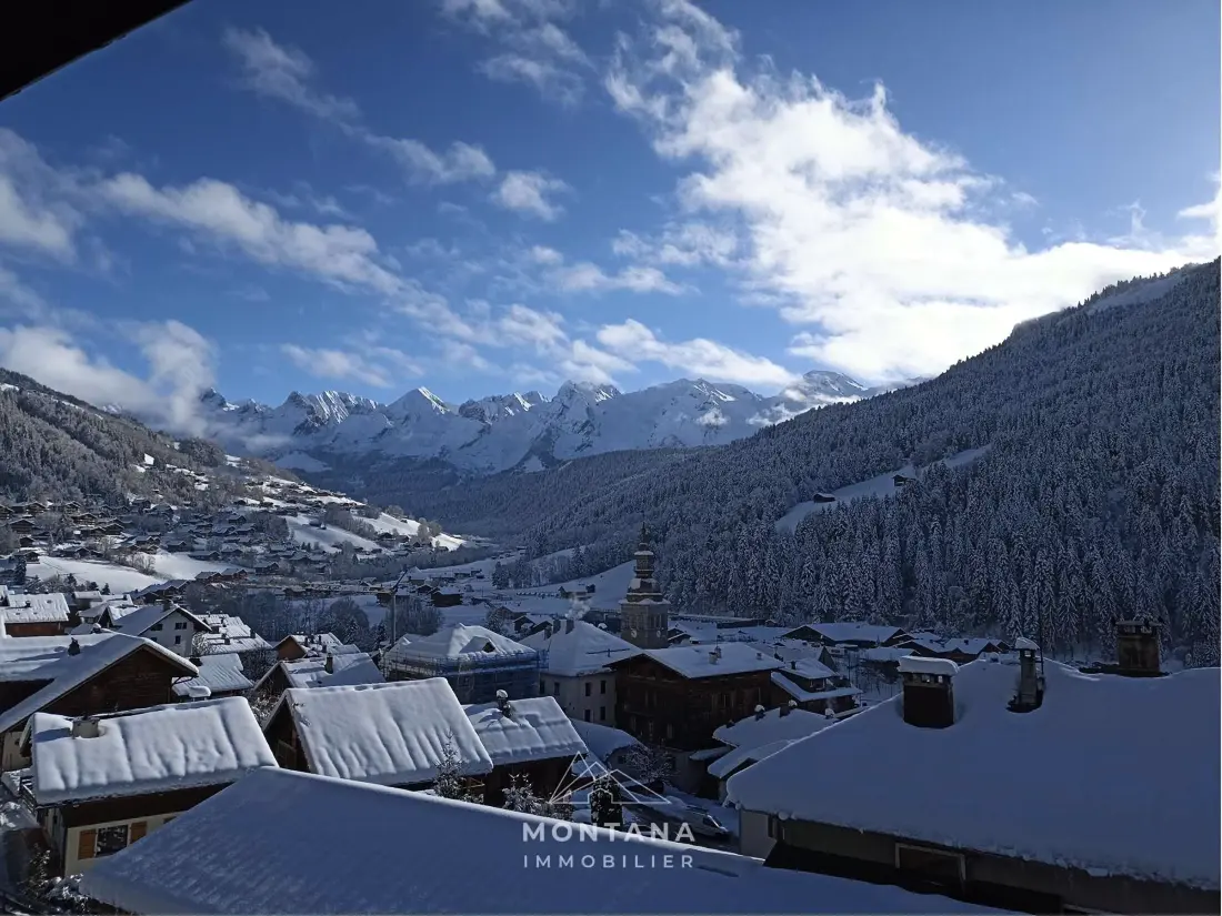 Location de Vacances Le Grand-Bornand 443