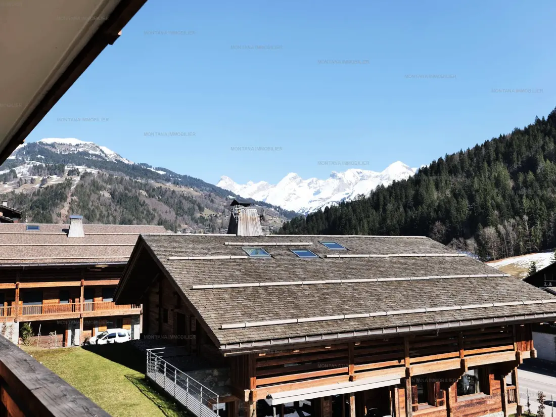 Location de Vacances Le Grand-Bornand 446