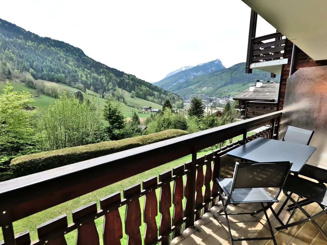 Location de Vacances Le Grand-Bornand 447