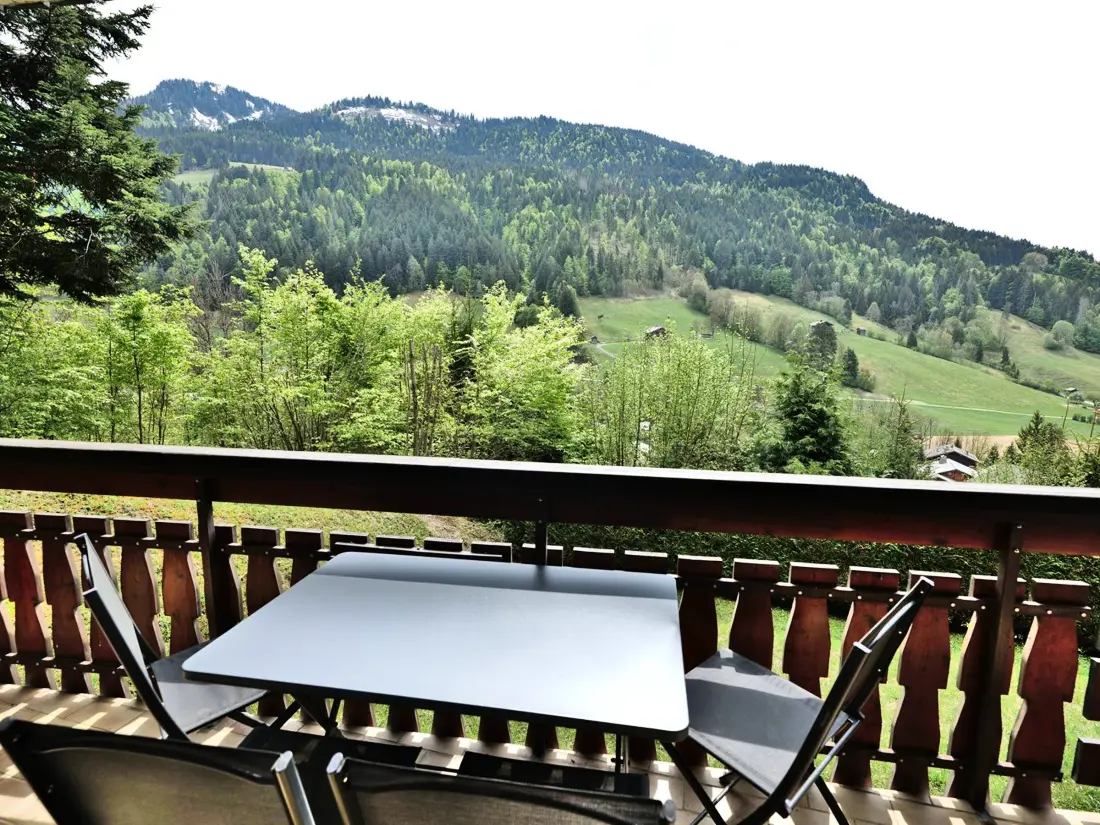 Location de Vacances Le Grand-Bornand 447