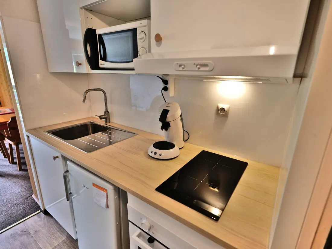 Location de Vacances Le Grand-Bornand 447