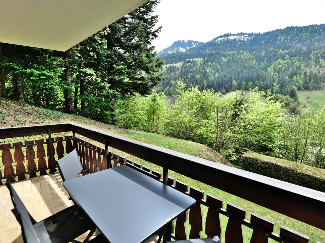 Location de Vacances Le Grand-Bornand 447