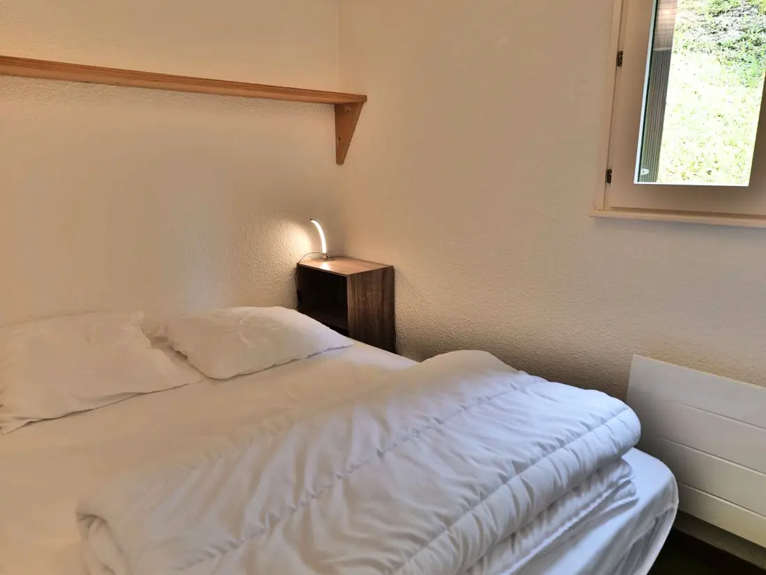 Location de Vacances Le Grand-Bornand 447