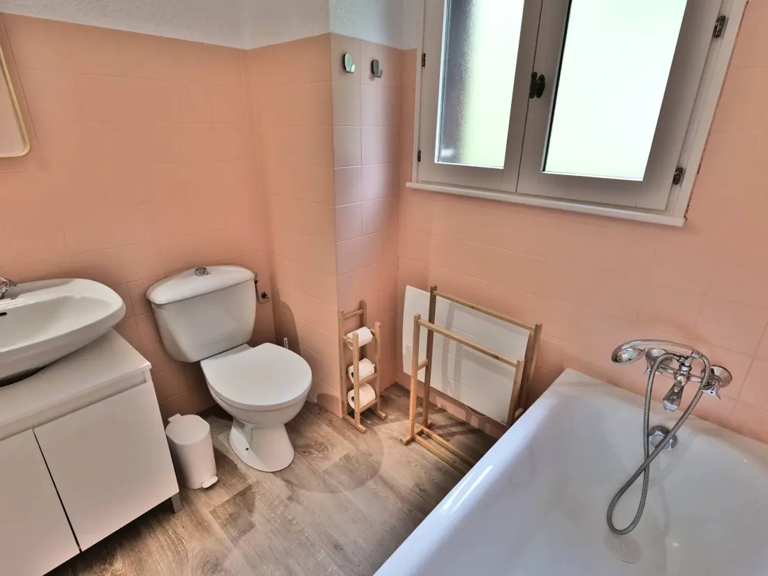 Location de Vacances Le Grand-Bornand 447