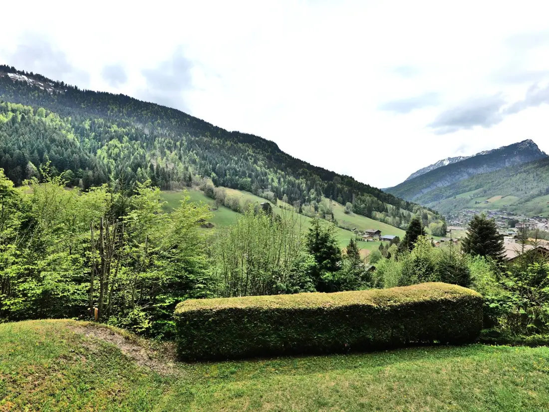 Location de Vacances Le Grand-Bornand 447