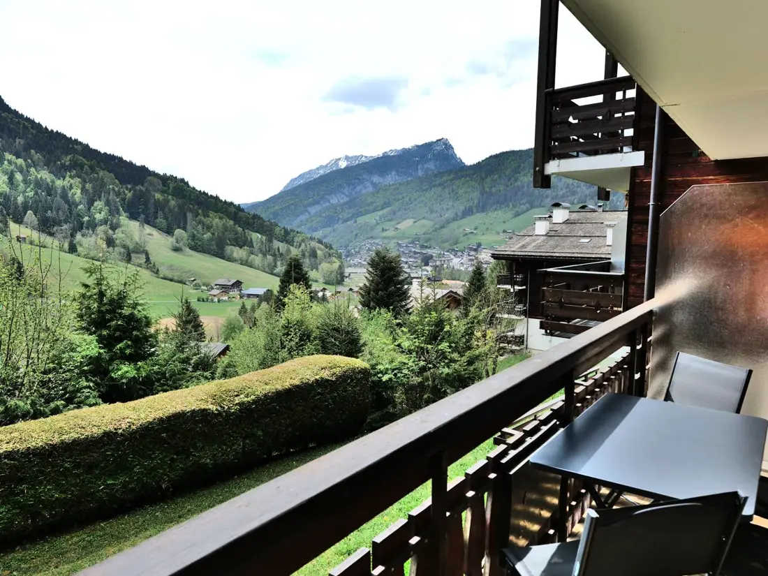 Location de Vacances Le Grand-Bornand 447