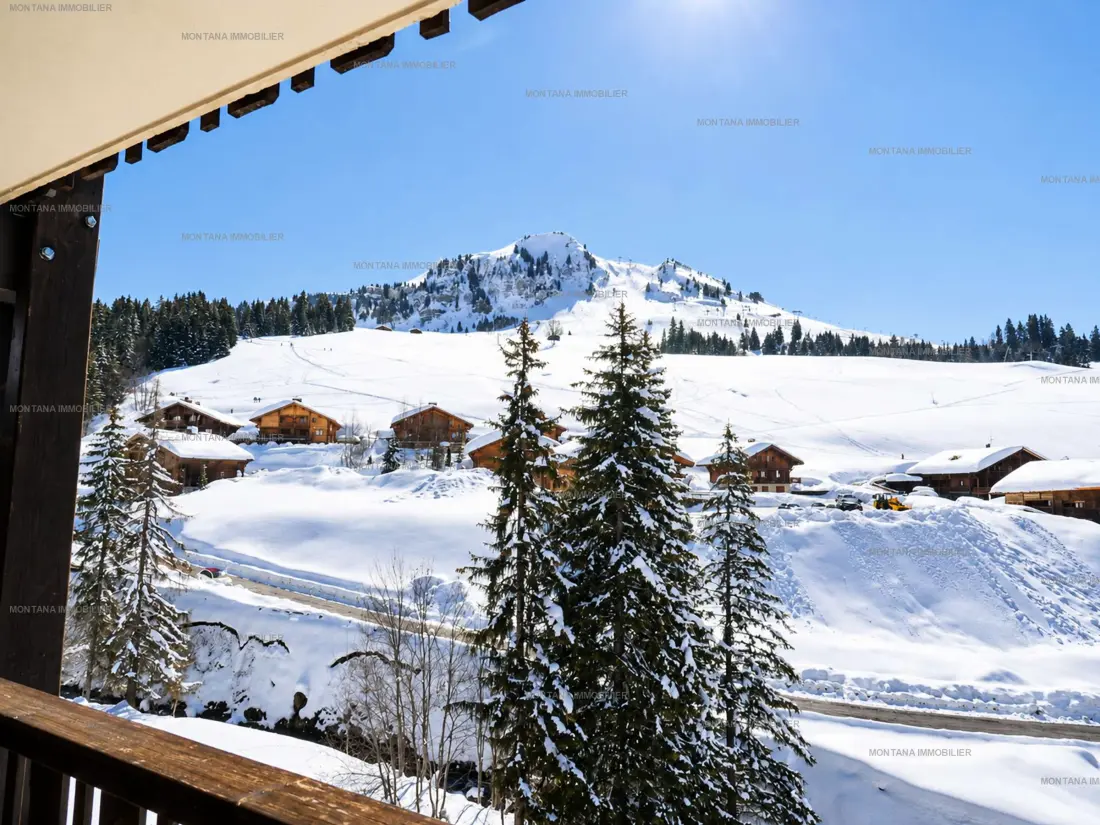 Location de Vacances Le Grand-Bornand 450