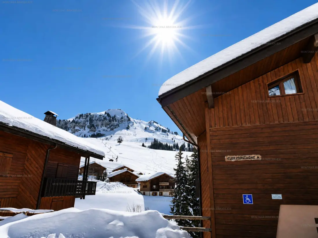 Location de Vacances Le Grand-Bornand 450