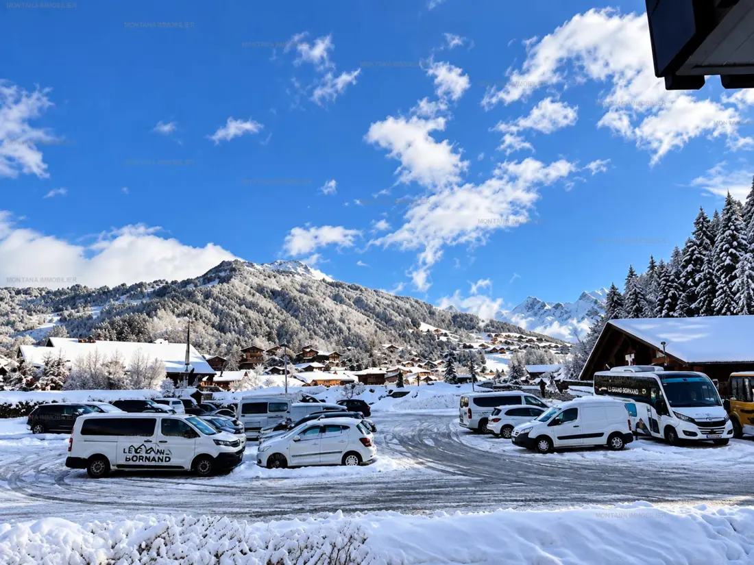 Location de Vacances Le Grand-Bornand 451