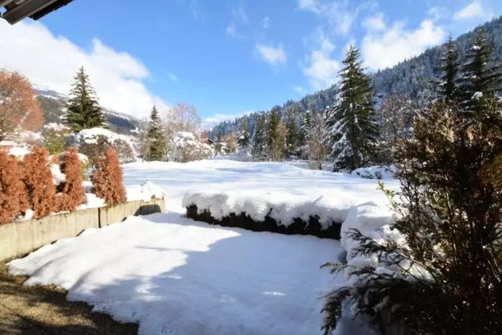 Résidence Alpina  A