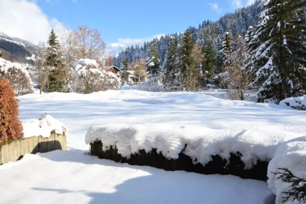 Résidence Alpina  A