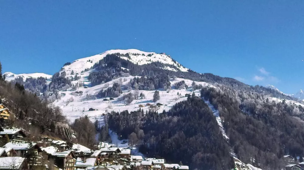 Résidence Bel Alp 1