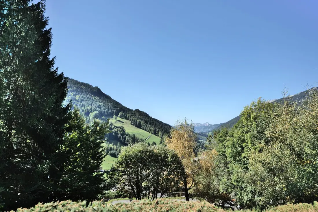 Résidence Belvedere 3