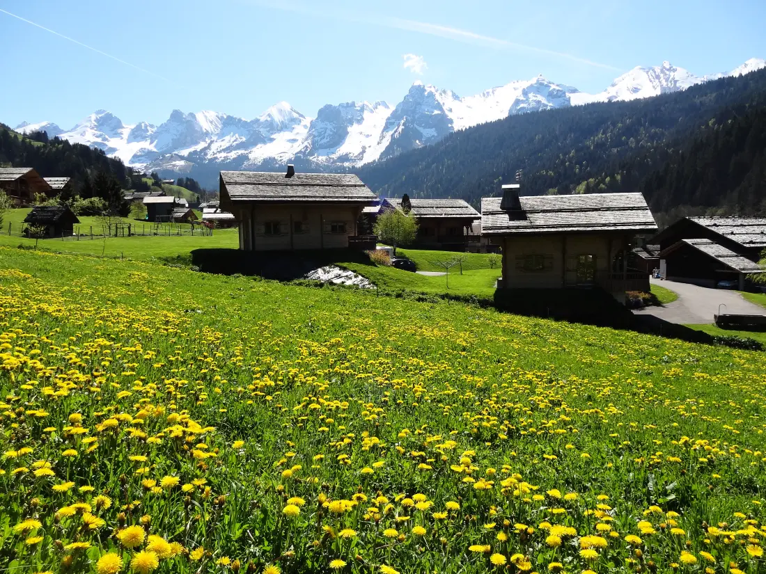 Chalet Pointe Percée