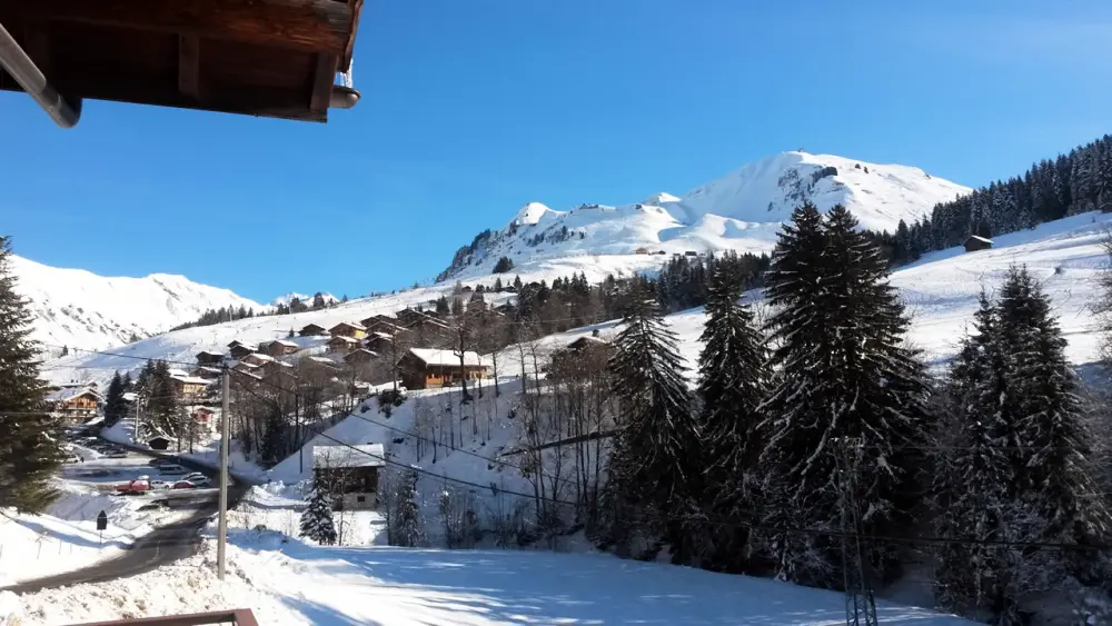 Chalet Saint Olivier