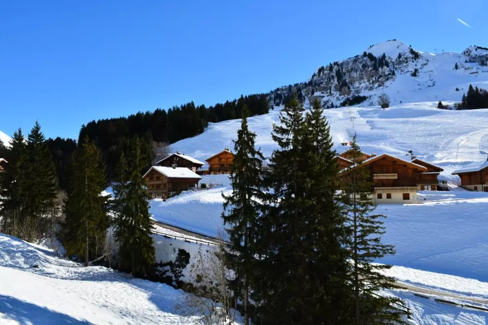 Résidence Florimontagnes A