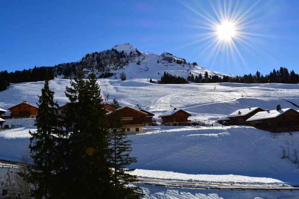 Résidence Florimontagnes A
