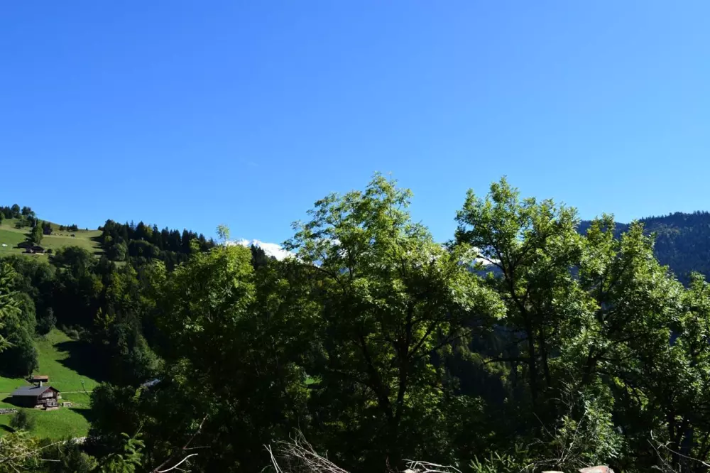 Résidence Les Epinettes