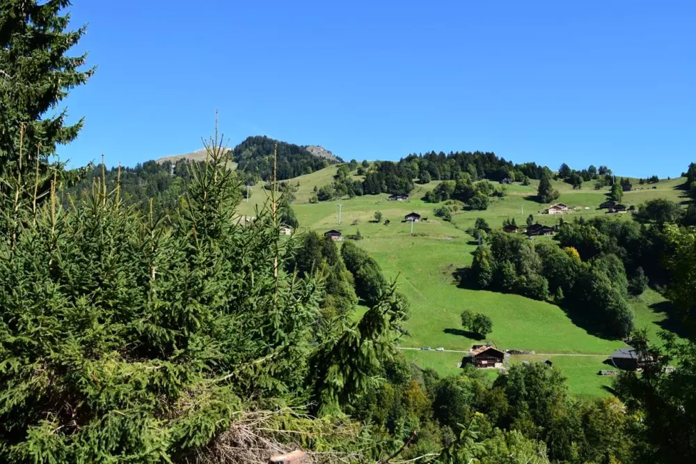 Résidence Les Epinettes
