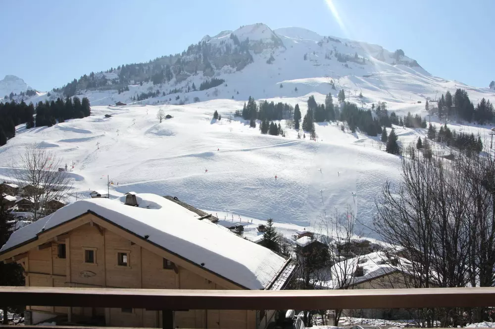 Résidence Roches Fleuries 1