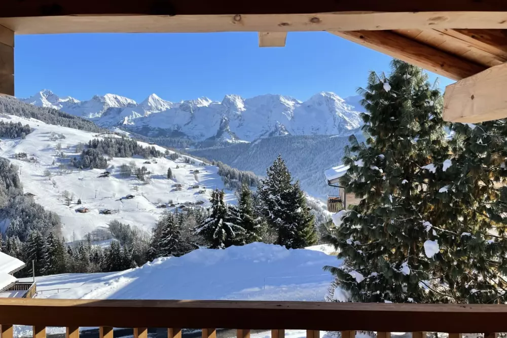 Slow Chalet Mont Real - Le Grand Bornand - 3km Des Pistes Du Chinaillon