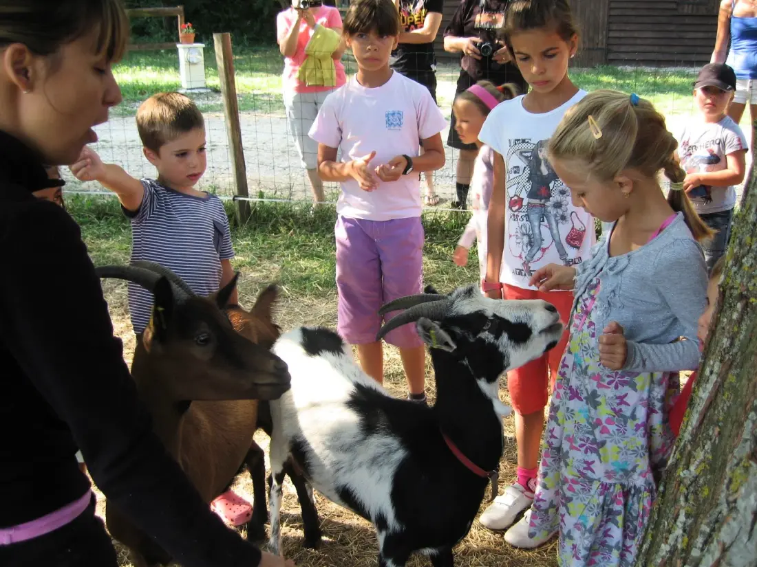Camping le Grand Cerf 4 étoiles★★★★
