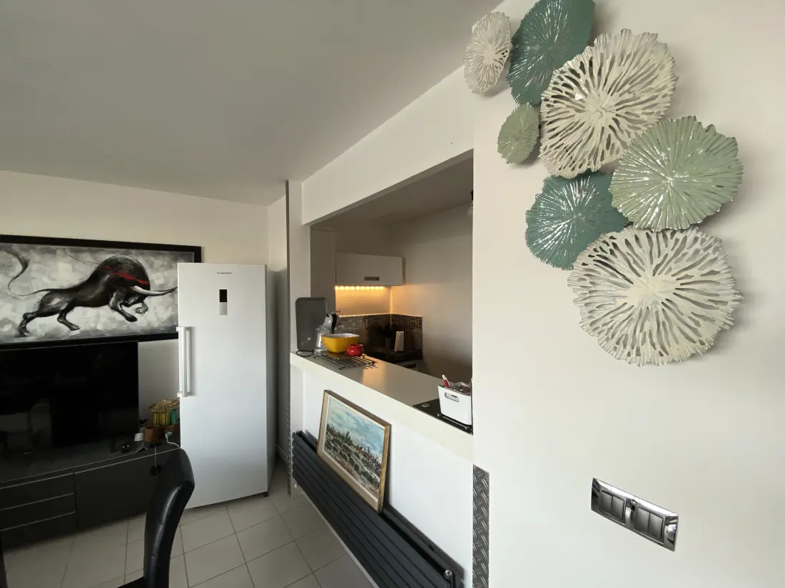 Appartements à Le Grau-du-Roi