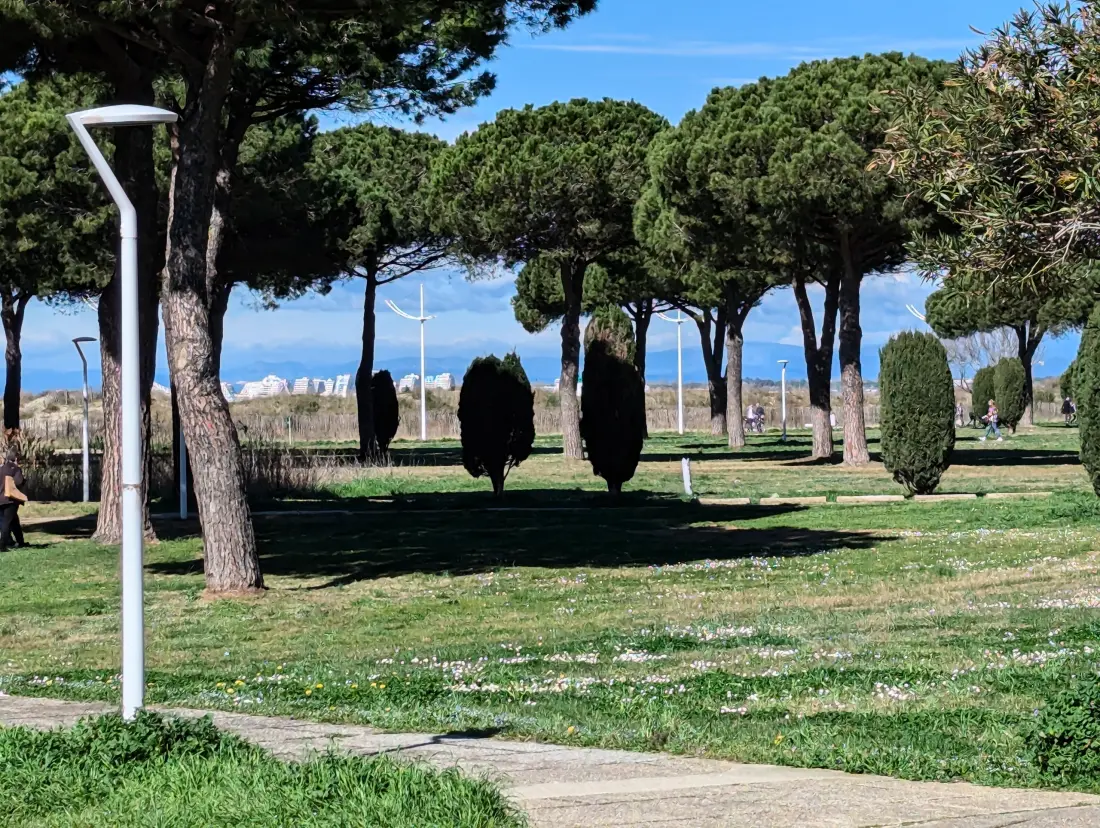 Appartements à Le Grau-du-Roi