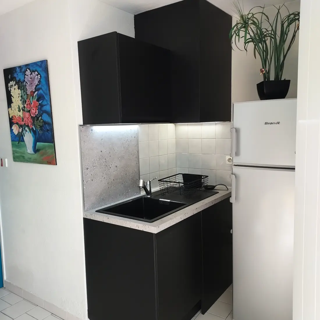 Appartements à Le Grau-du-Roi