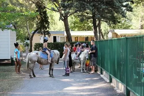 Camping Abri de Camargue 4 étoiles★★★★