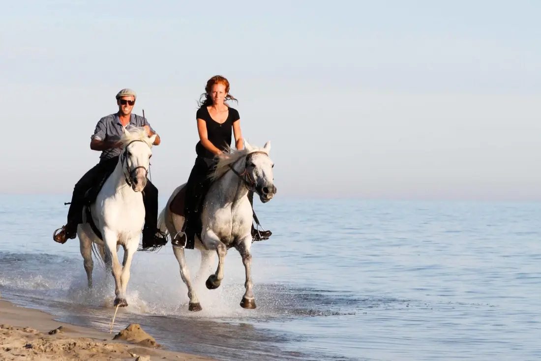 Camping Abri de Camargue 4 étoiles★★★★