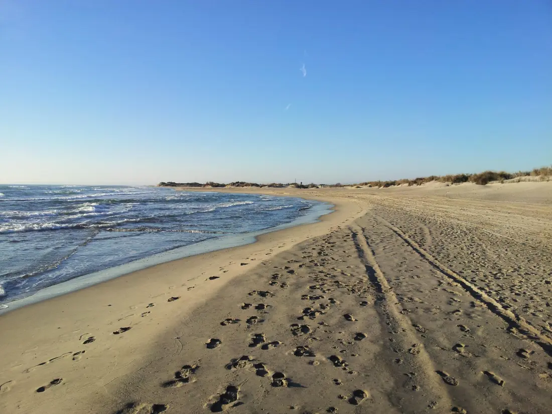 Camping Abri de Camargue 4 étoiles★★★★