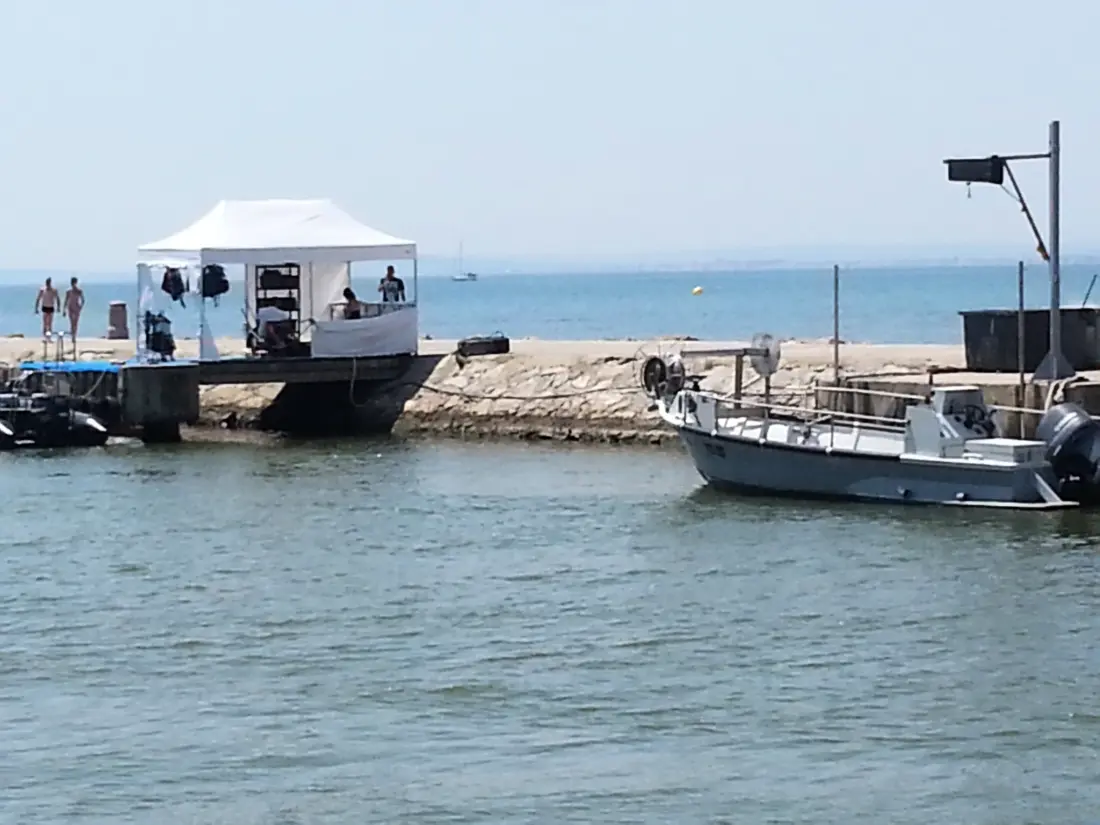 Camping Abri de Camargue 4 étoiles★★★★