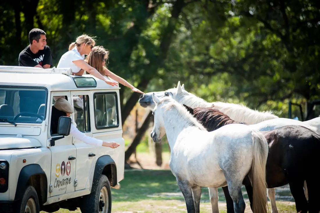 Camping Abri de Camargue 4 étoiles★★★★