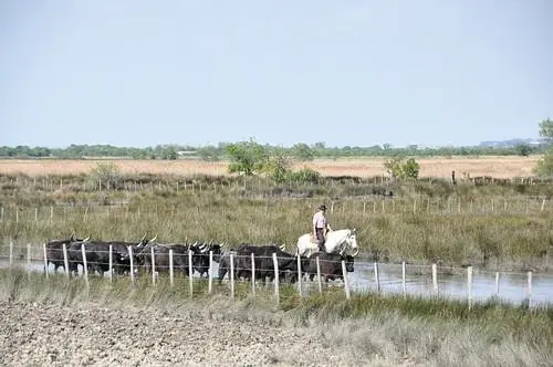 Camping Abri de Camargue 4 étoiles★★★★