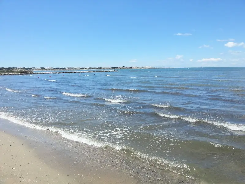 Camping Abri de Camargue 4 étoiles★★★★