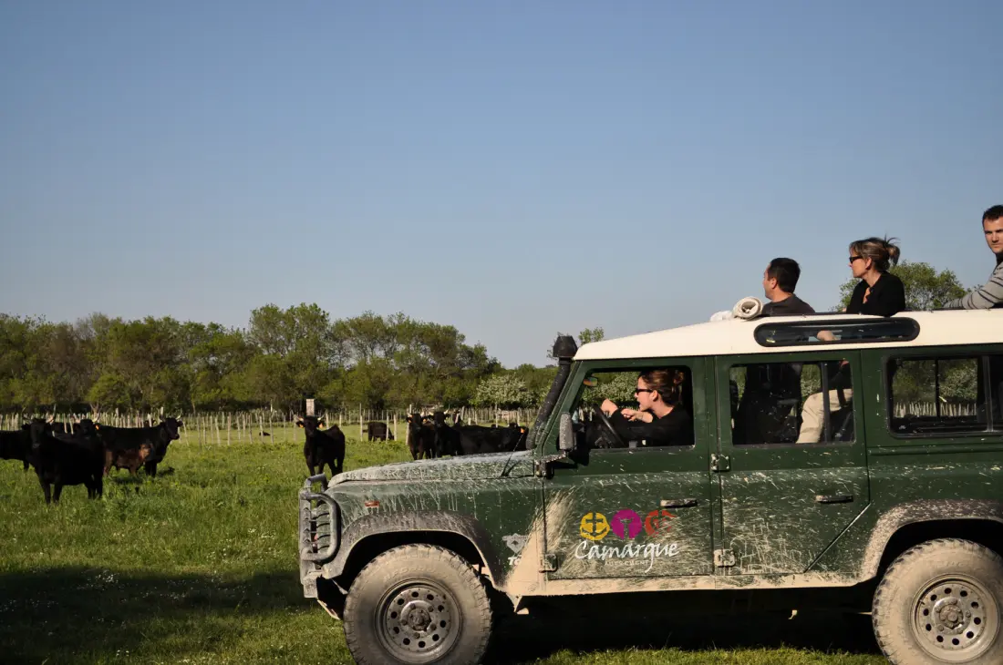 Camping Abri de Camargue 4 étoiles★★★★