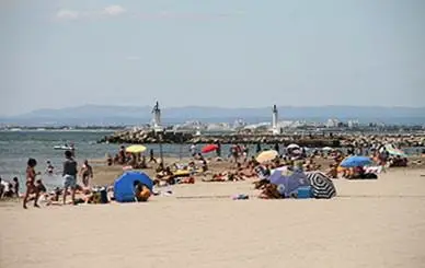 Camping Abri de Camargue 4 étoiles★★★★