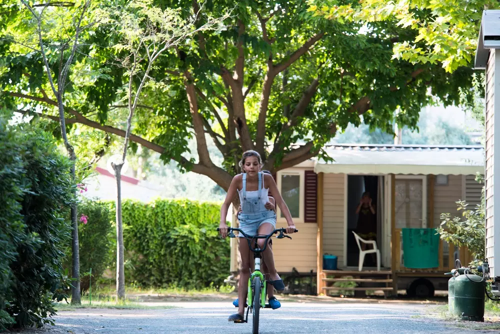 Camping Village Abri de Camargue 41 étoiles★