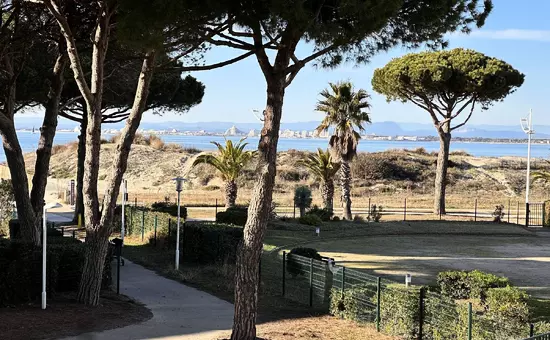 Location de Vacances Le Grau-du-Roi 372