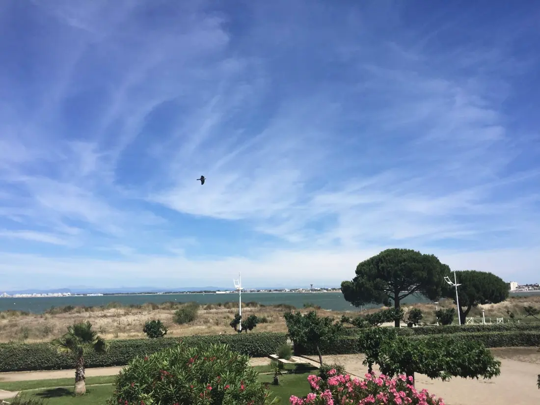 Location de Vacances Le Grau-du-Roi 389
