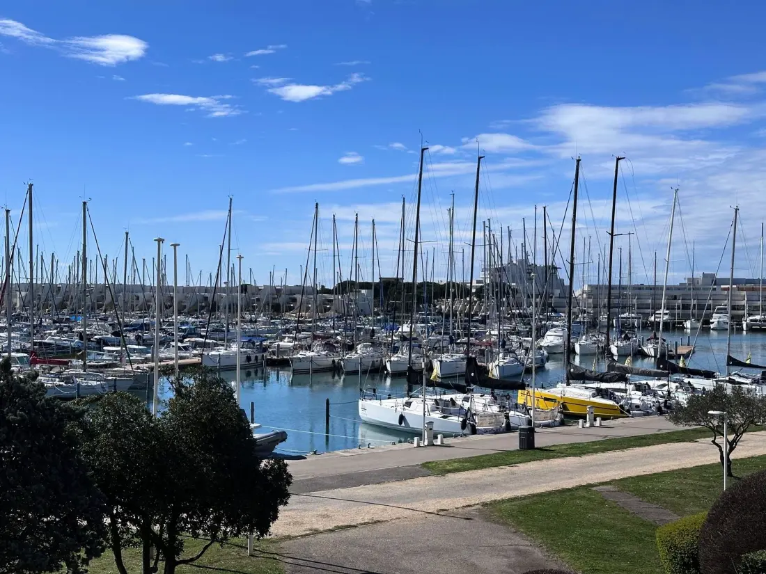 Location de Vacances Le Grau-du-Roi 393