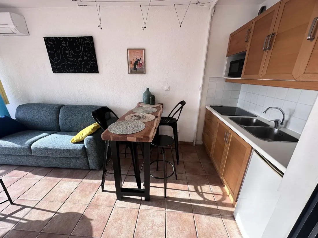 Location de Vacances Le Grau-du-Roi 393