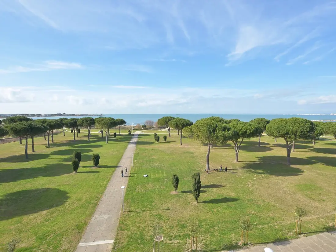 Location de Vacances Le Grau-du-Roi 520
