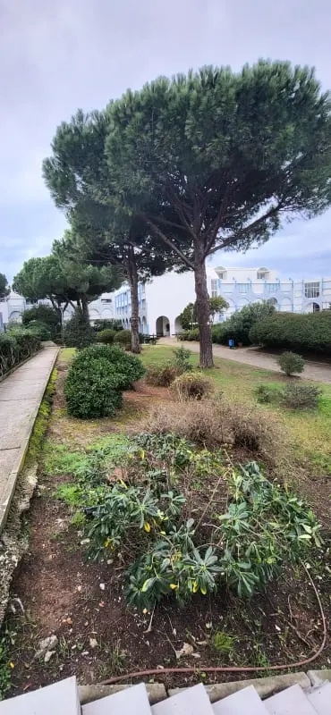 Résidence Bougainvilliers Entre Piscine, Plage Et Centre Ville